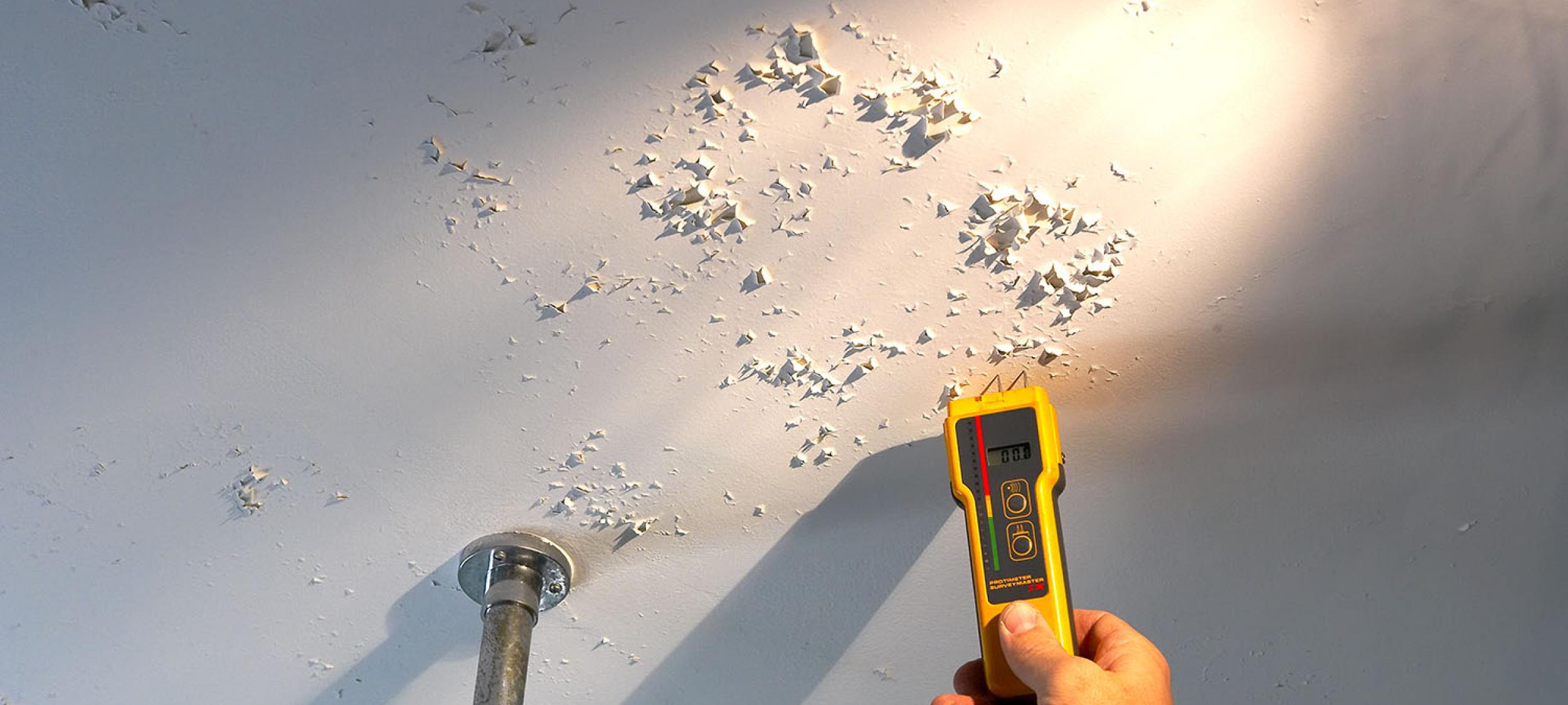 We look at details you may miss